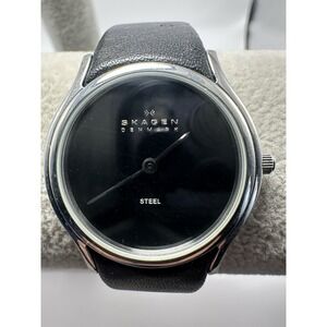 Skagen Steel 256SSLB Ladies Watch New Battery 30MM 7.25" Leather Band C65